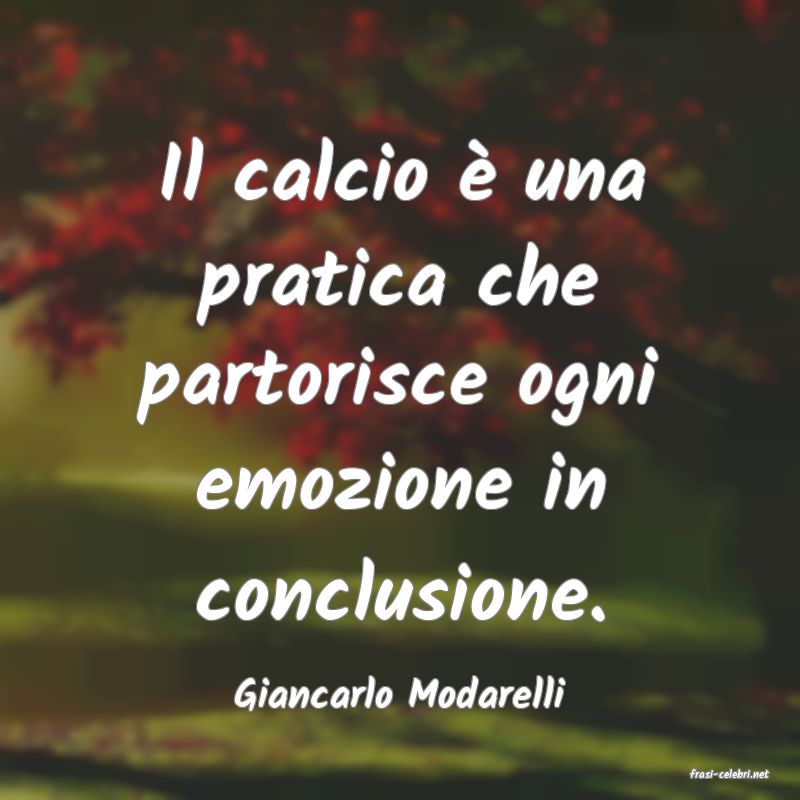 frasi di  Giancarlo Modarelli
