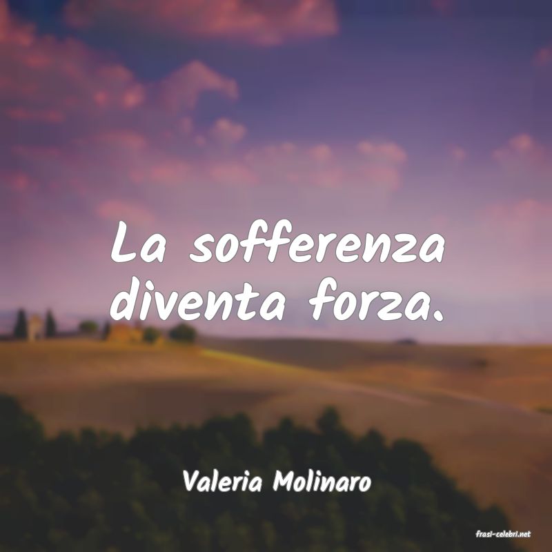 frasi di  Valeria Molinaro
