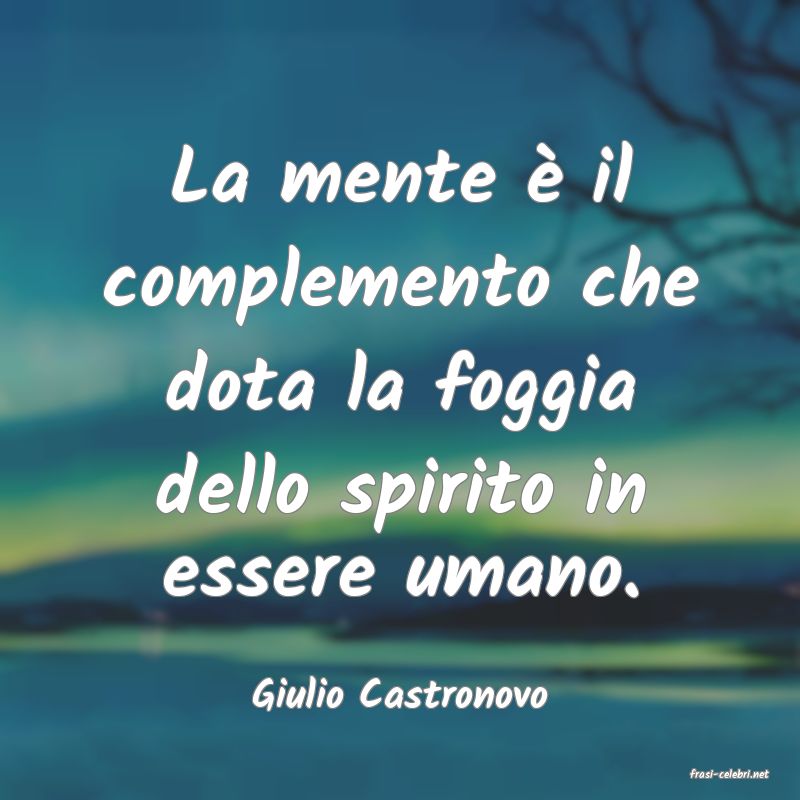 frasi di Giulio Castronovo