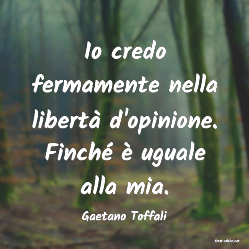 frasi di  Gaetano Toffali
