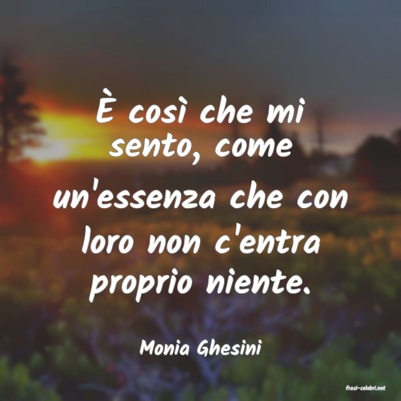 frasi di  Monia Ghesini
