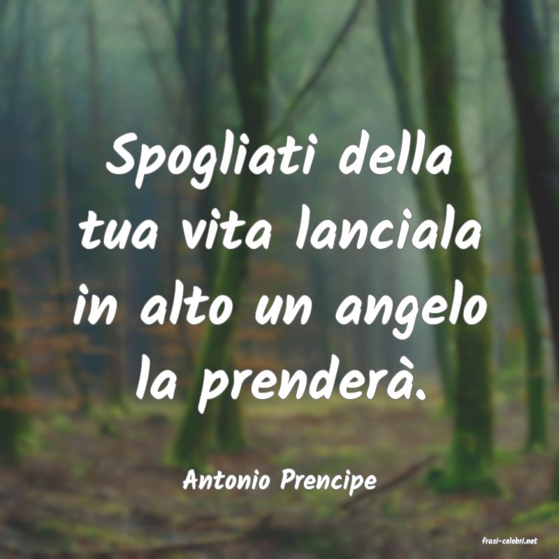 frasi di  Antonio Prencipe
