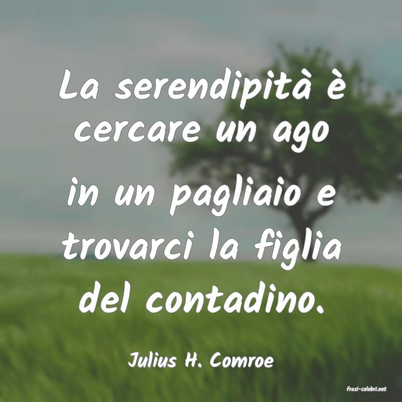frasi di Julius H. Comroe