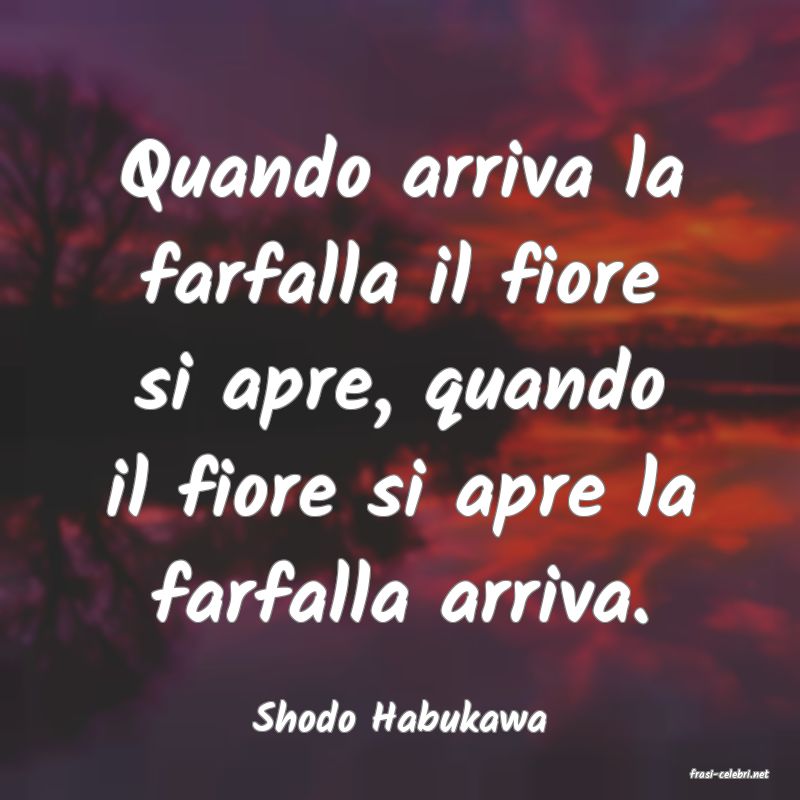 frasi di Shodo Habukawa