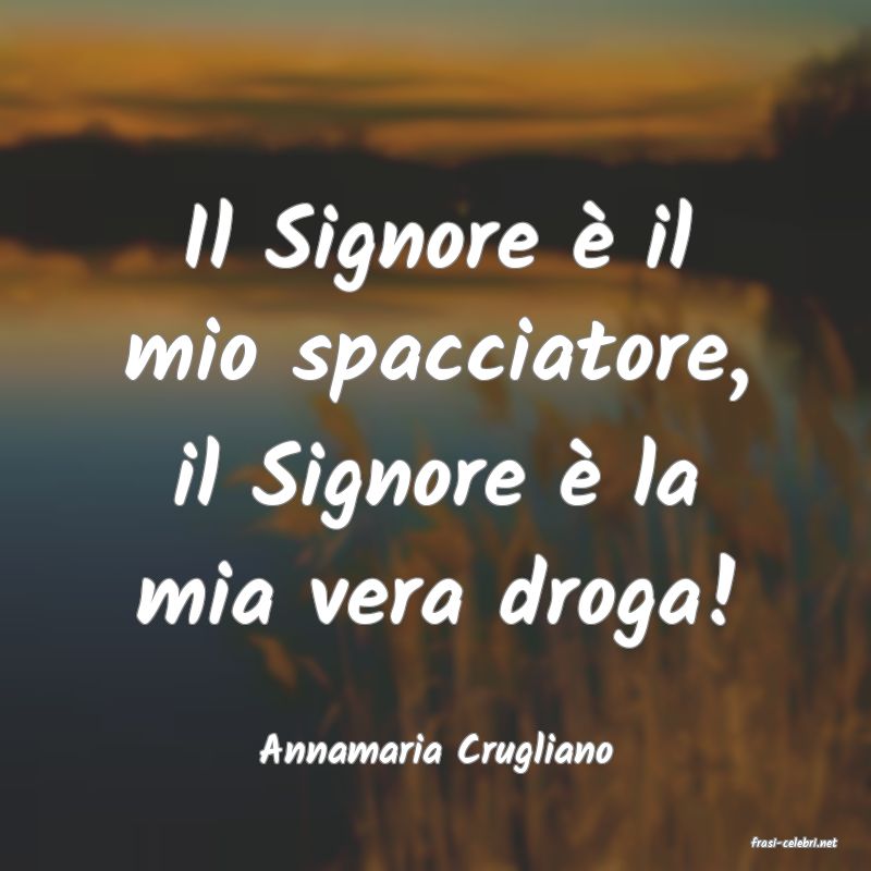 frasi di  Annamaria Crugliano
