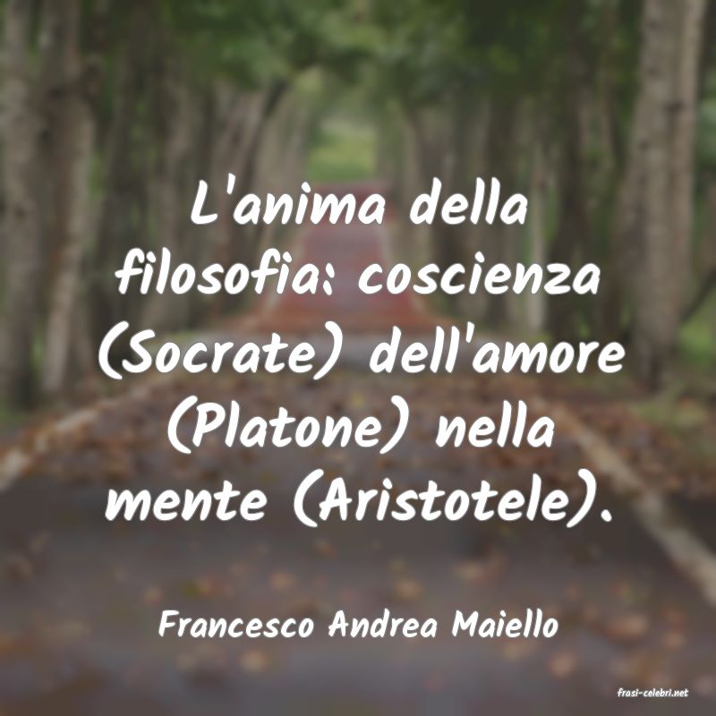 frasi di  Francesco Andrea Maiello
