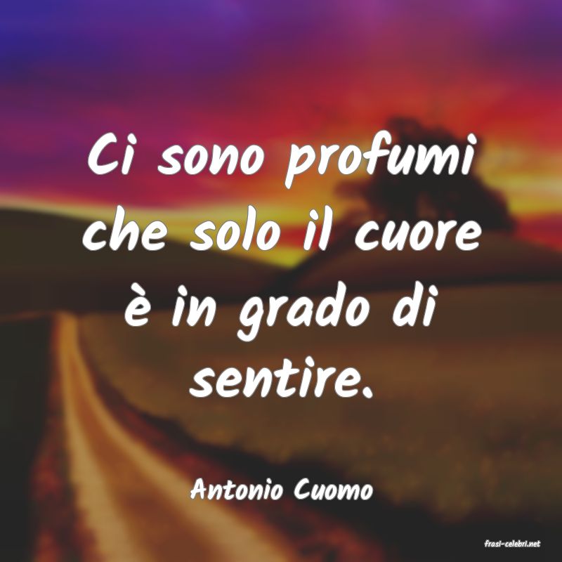 frasi di  Antonio Cuomo

