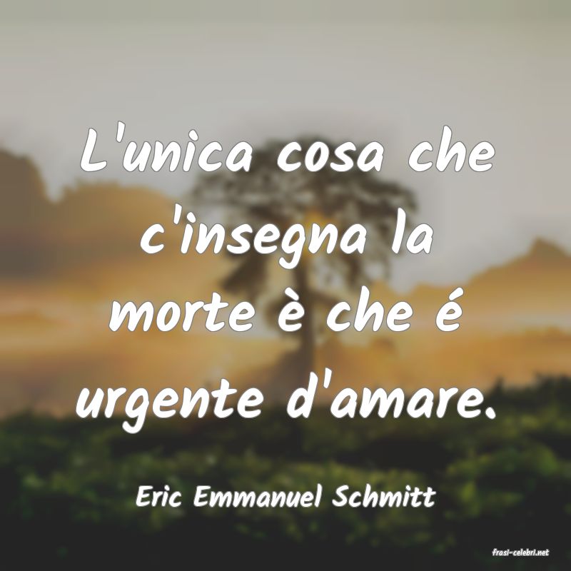 frasi di  Eric Emmanuel Schmitt
