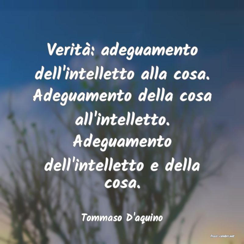 frasi di Tommaso D'aquino