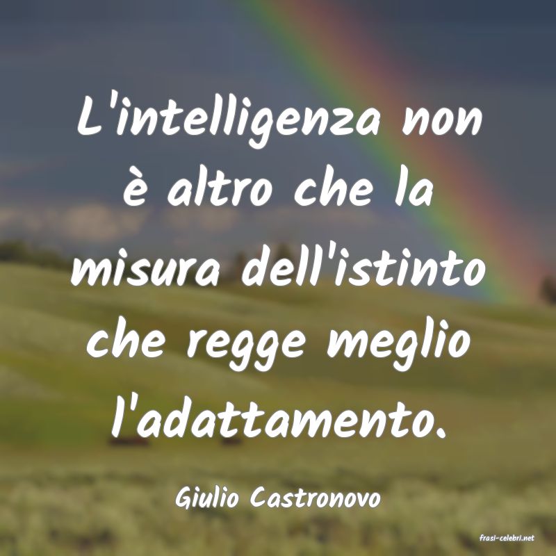 frasi di Giulio Castronovo