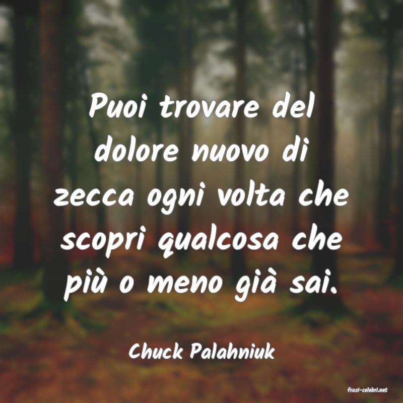 frasi di  Chuck Palahniuk
