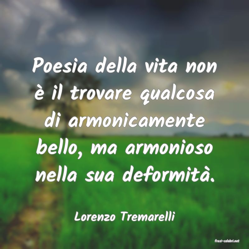 frasi di  Lorenzo Tremarelli
