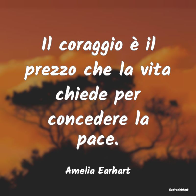frasi di  Amelia Earhart
