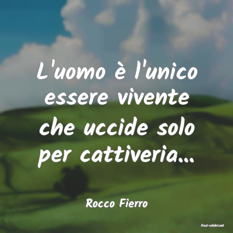 frasi di  Rocco Fierro
