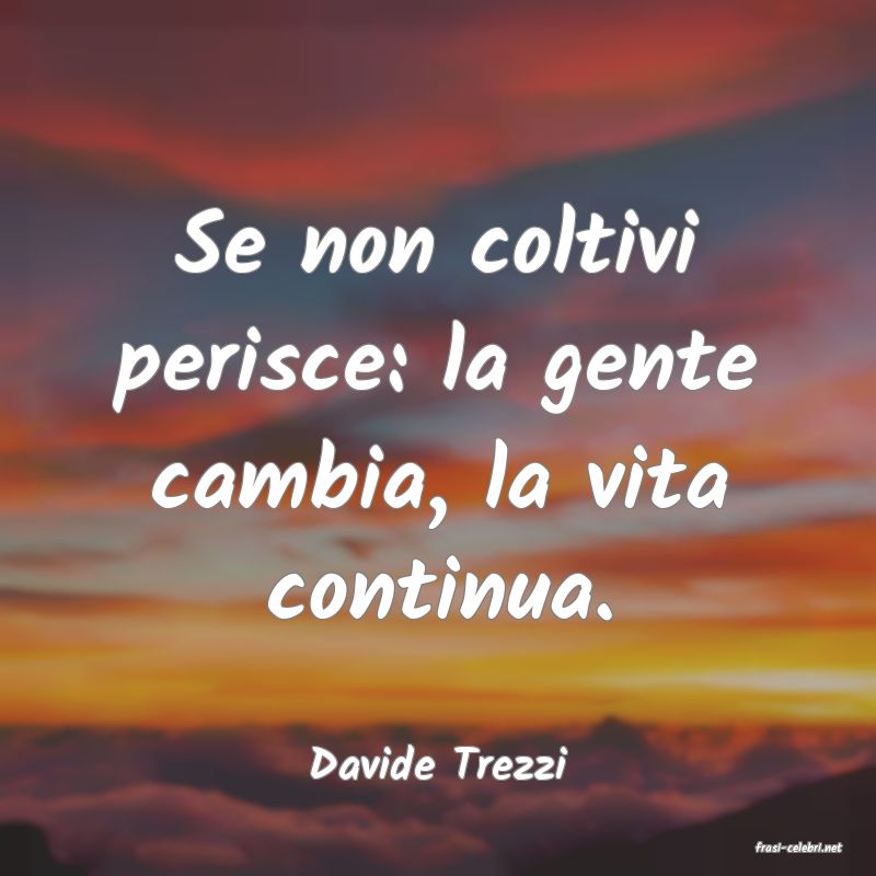 frasi di  Davide Trezzi
