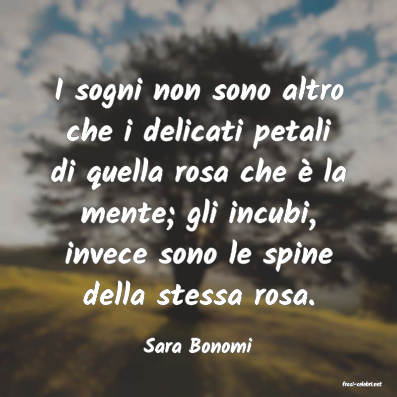 frasi di  Sara Bonomi
