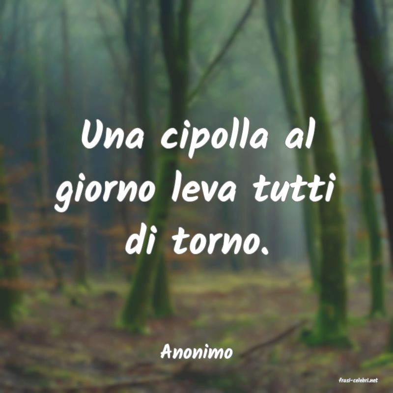 frasi di Anonimo