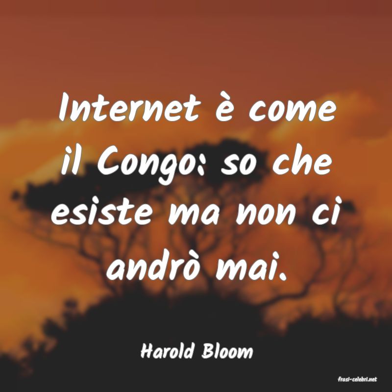 frasi di Harold Bloom