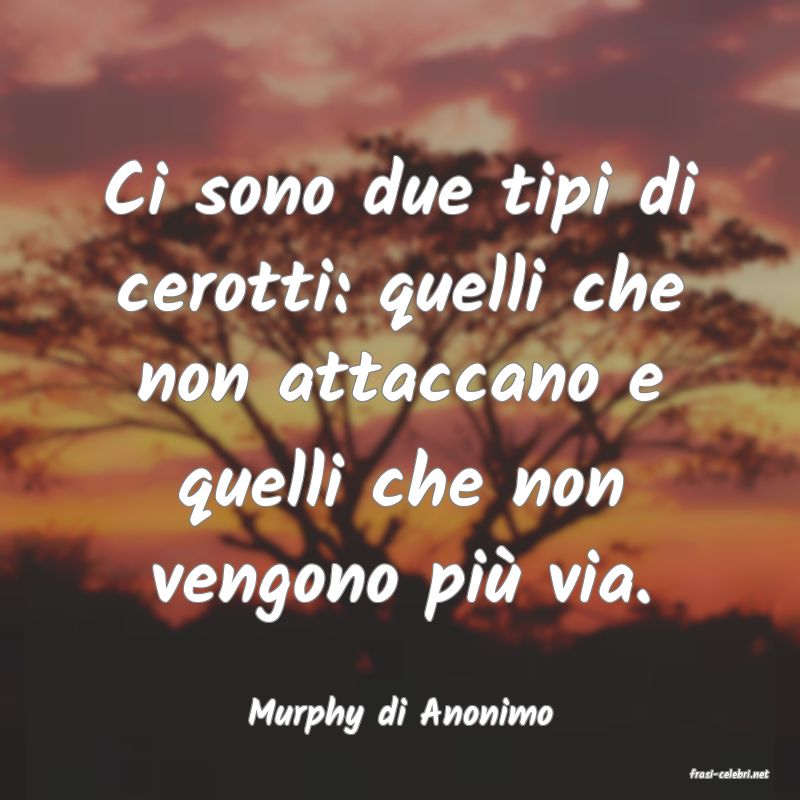 frasi di Murphy di Anonimo