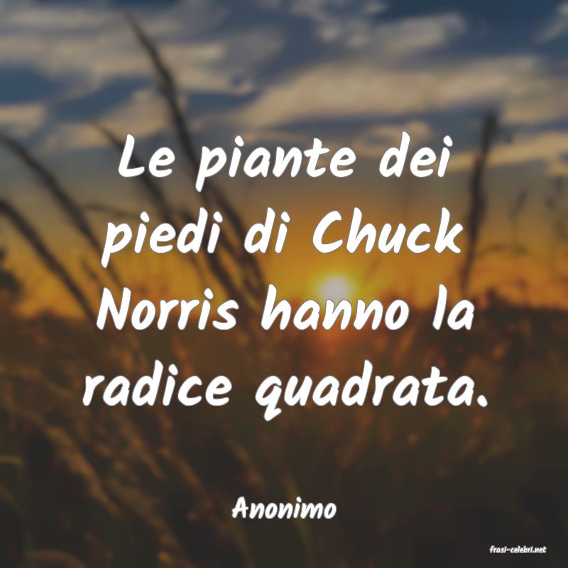 frasi di Anonimo