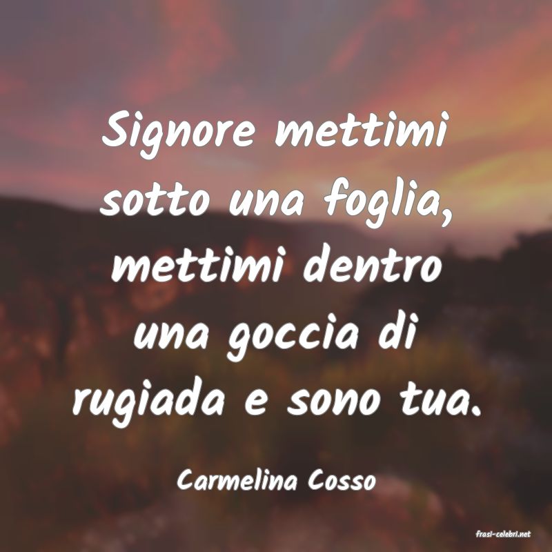 frasi di  Carmelina Cosso
