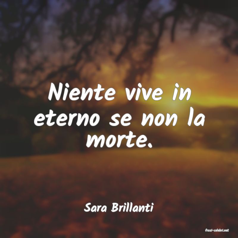 frasi di  Sara Brillanti
