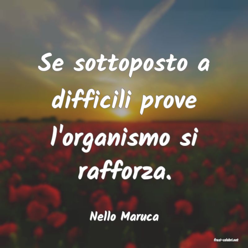 frasi di  Nello Maruca
