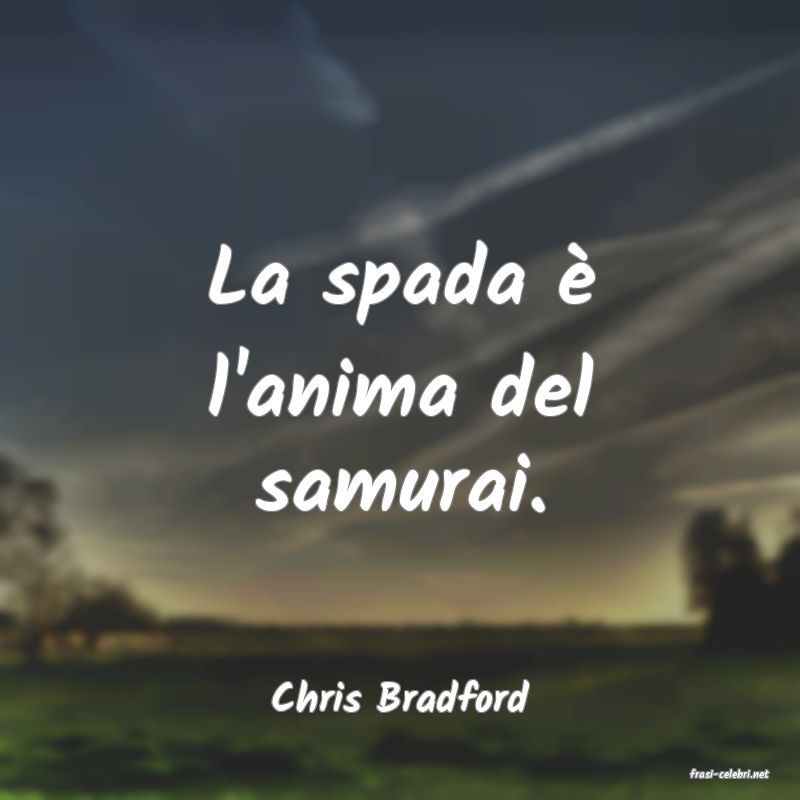 frasi di  Chris Bradford
