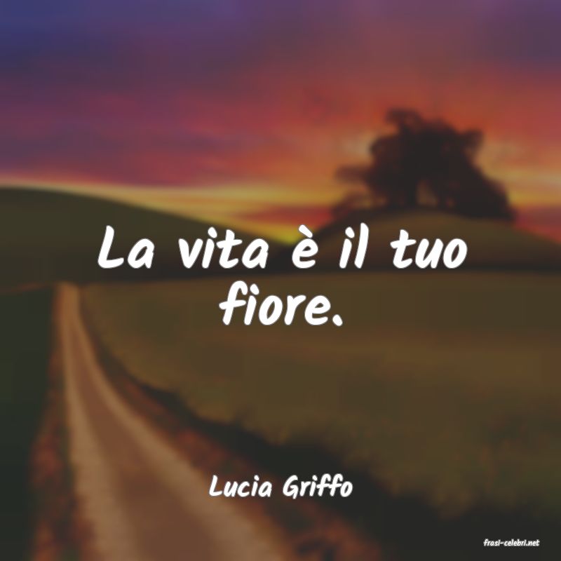 frasi di  Lucia Griffo
