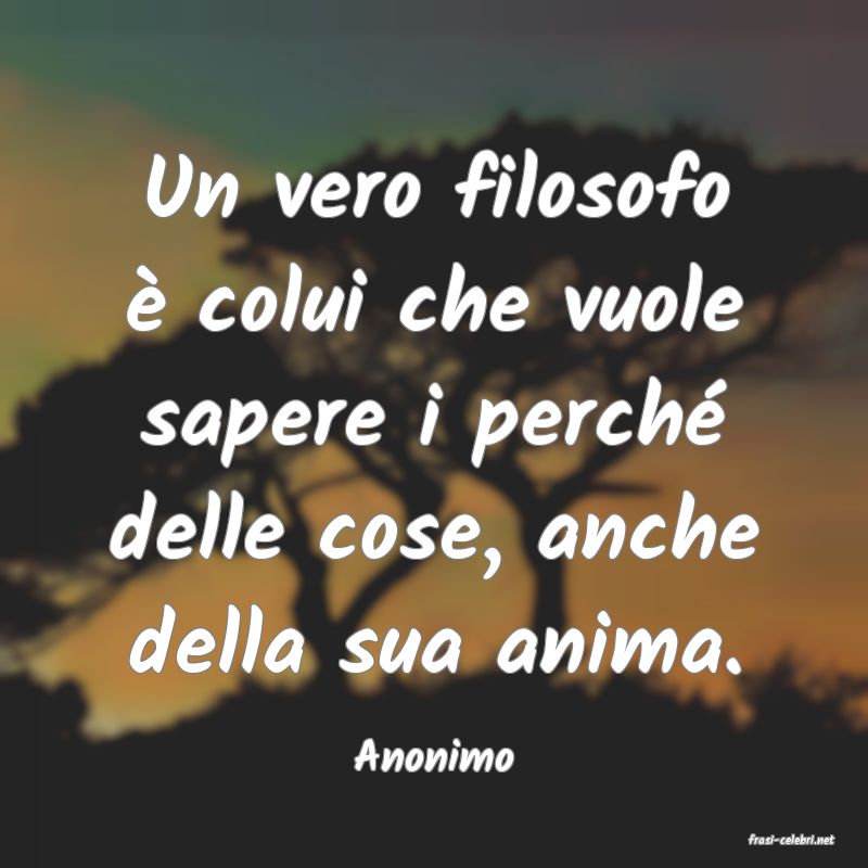 frasi di  Anonimo
