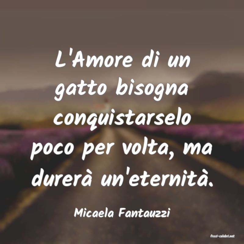 frasi di  Micaela Fantauzzi
