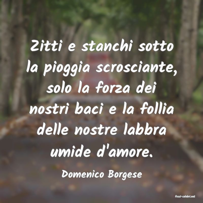 frasi di  Domenico Borgese
