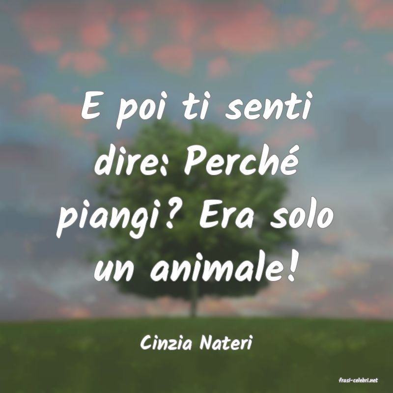 frasi di  Cinzia Nateri

