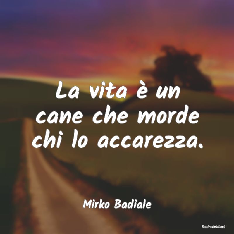frasi di  Mirko Badiale
