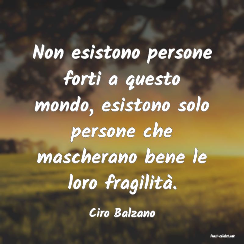 frasi di  Ciro Balzano
