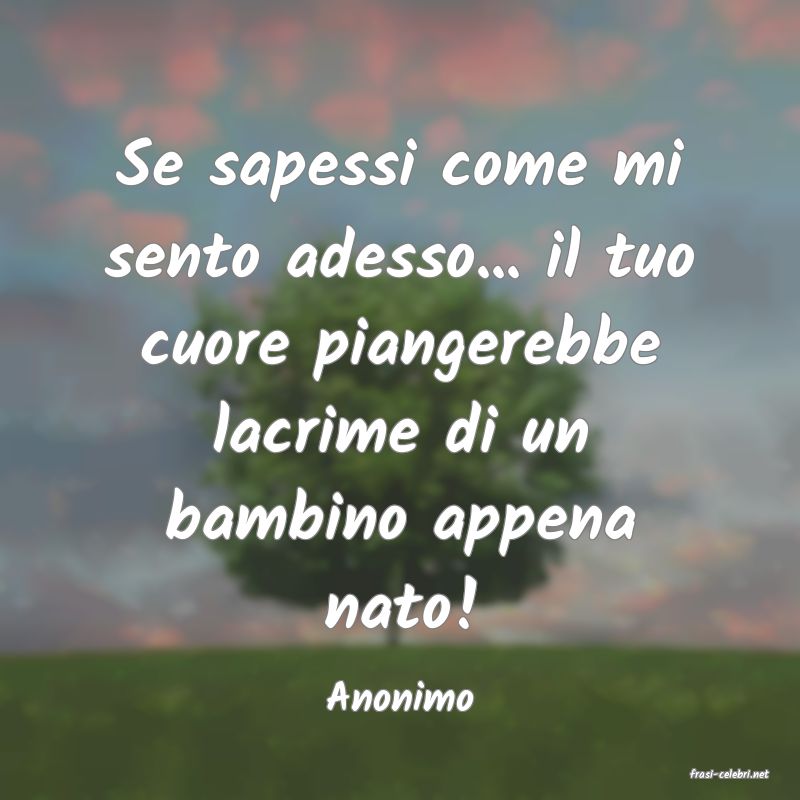 frasi di  Anonimo
