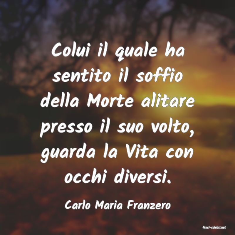 frasi di  Carlo Maria Franzero
