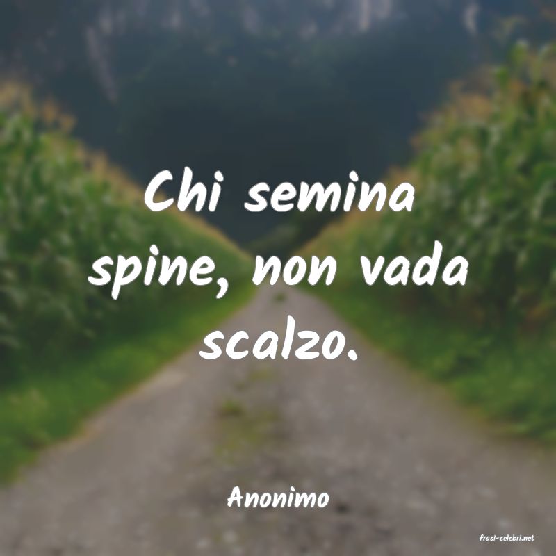 frasi di Anonimo