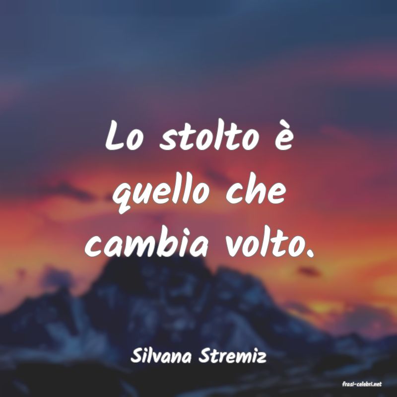 frasi di Silvana Stremiz
