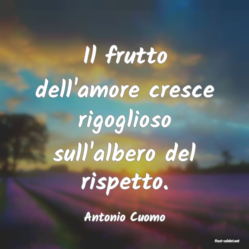 frasi di  Antonio Cuomo
