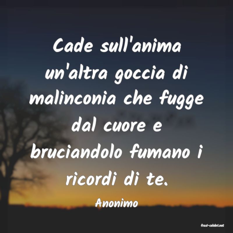 frasi di  Anonimo
