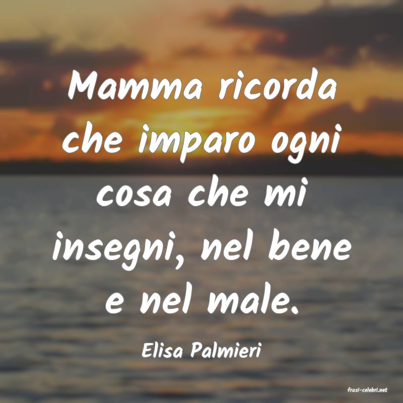 frasi di  Elisa Palmieri
