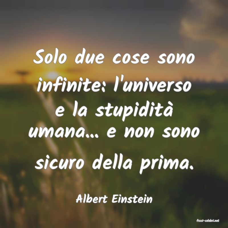 frasi di  Albert Einstein

