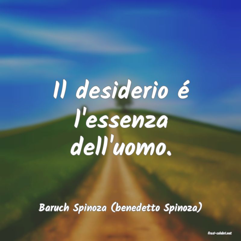 frasi di  Baruch Spinoza (benedetto Spinoza)
