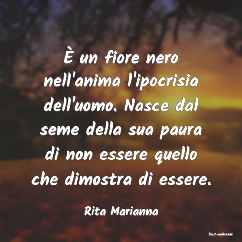 frasi di  Rita Marianna
