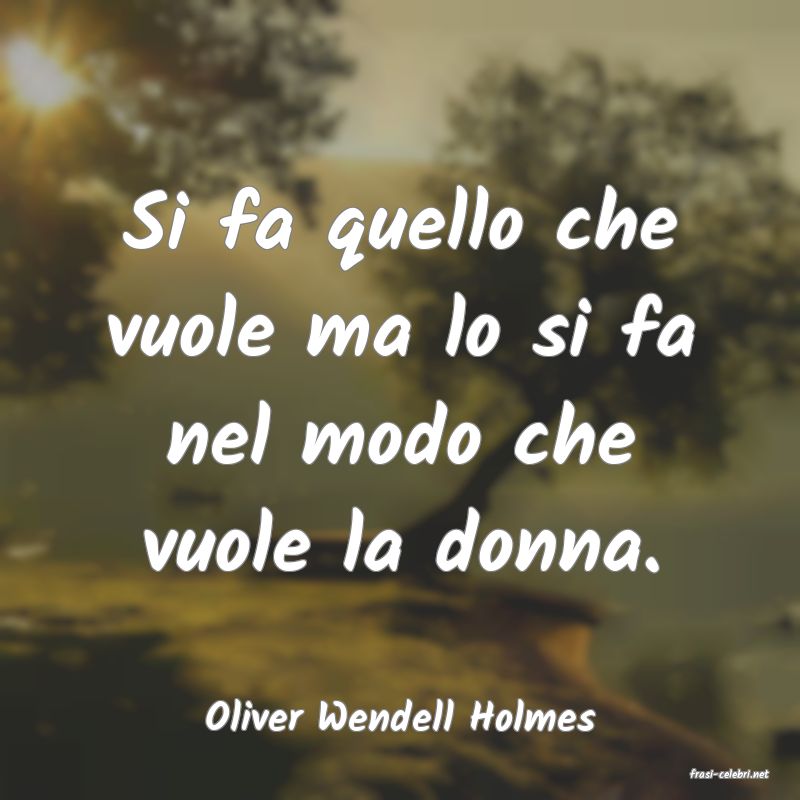 frasi di Oliver Wendell Holmes