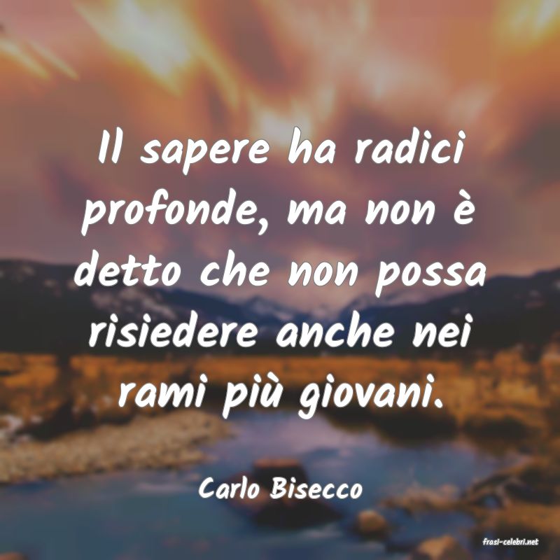 frasi di  Carlo Bisecco
