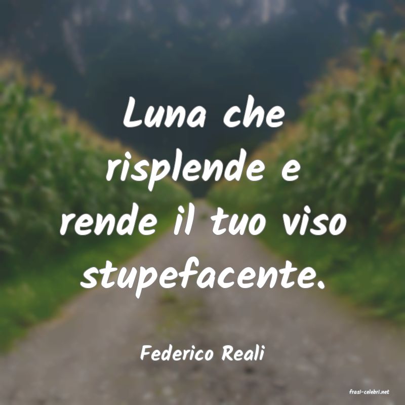 frasi di  Federico Reali
