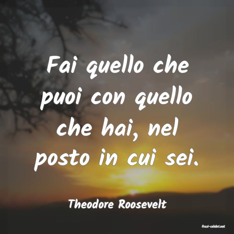 frasi di  Theodore Roosevelt
