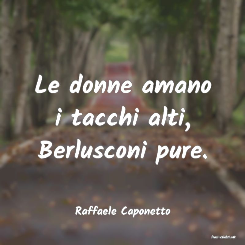 frasi di  Raffaele Caponetto
